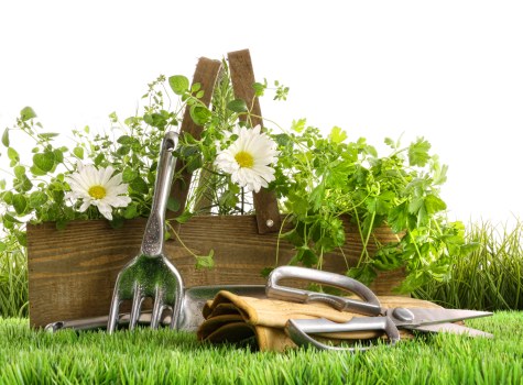 Sustainable landscaping with native plants and eco-friendly features in Seven Kings