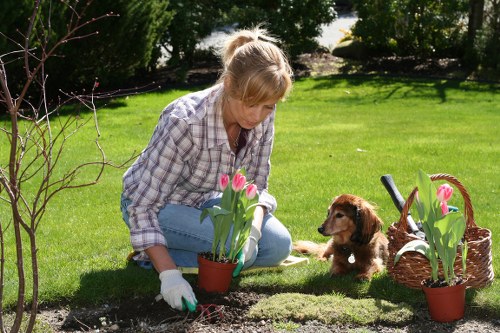 Technician assessing a garden worksite for risks