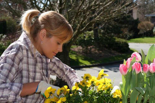 Volunteer using a screen reader and laptop while organising community gardening tasks