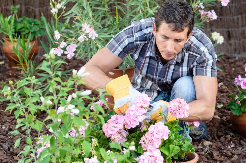 Technician trimming hedges beside a terraced house in Seven Kings