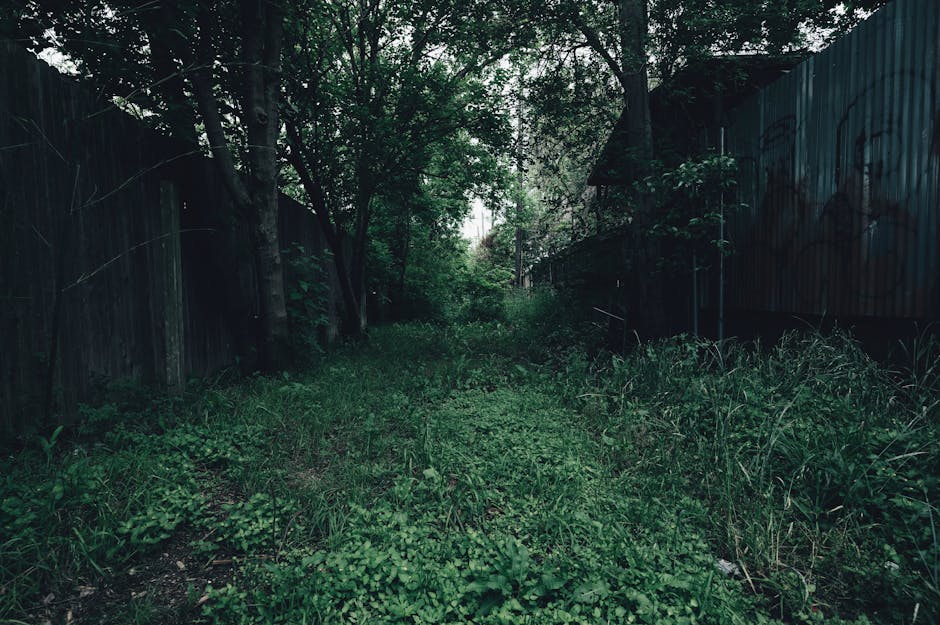 A narrow, overgrown backyard with a dense layer of grass and weeds covering the soil, flanked by tall, weathered wooden fencing on both sides. The garden appears neglected, with wild plants and bushes