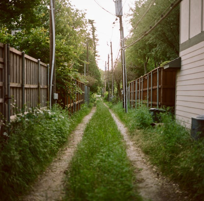 A narrow, overgrown backyard with a dense layer of grass and weeds covering the soil, flanked by tall, weathered wooden fencing on both sides. The garden appears neglected, with wild plants and bushes