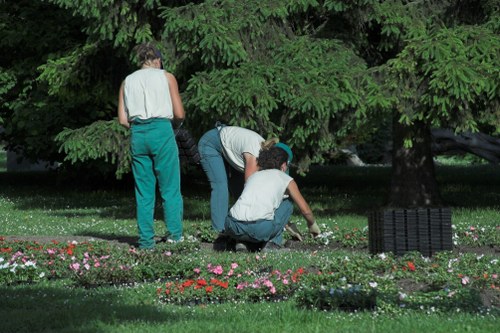 Local nursery in Seven Kings offering a variety of plants