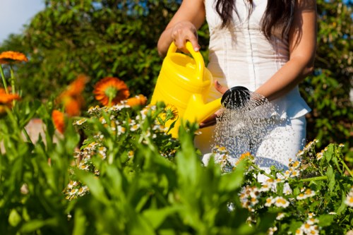 Lush backyard garden in Seven Kings